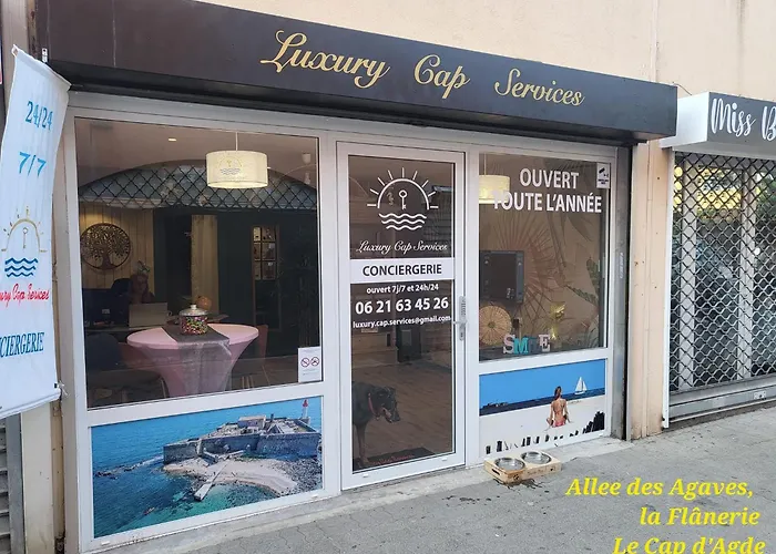 Apartment Climatise Centre Port Avec Piscine & Parking Agde